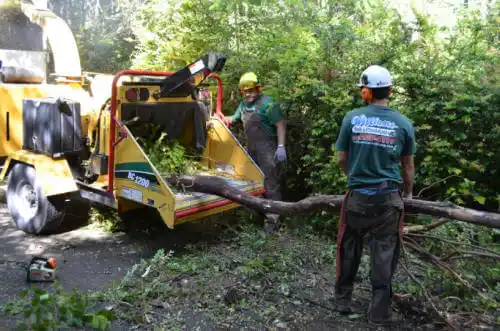 tree services Truro